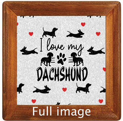 I love my dachshund dog Tumbler