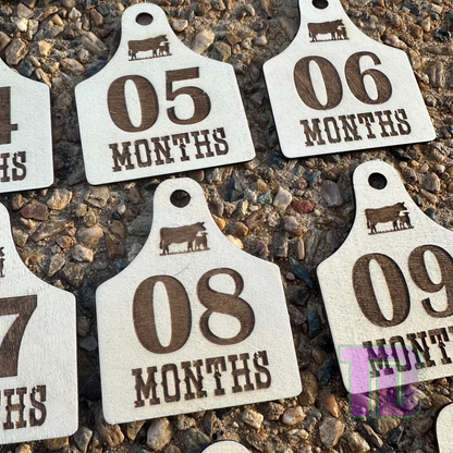 Cow cattle ear tags shaped baby milestone