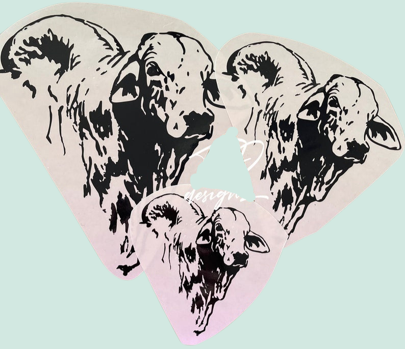 Bhraman Sticker Brahman Droughtmaster Bull Head Decal Set of 2 Sticker Bumper – TD designs