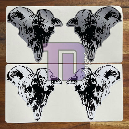 Brahman Droughtmaster Bull Head