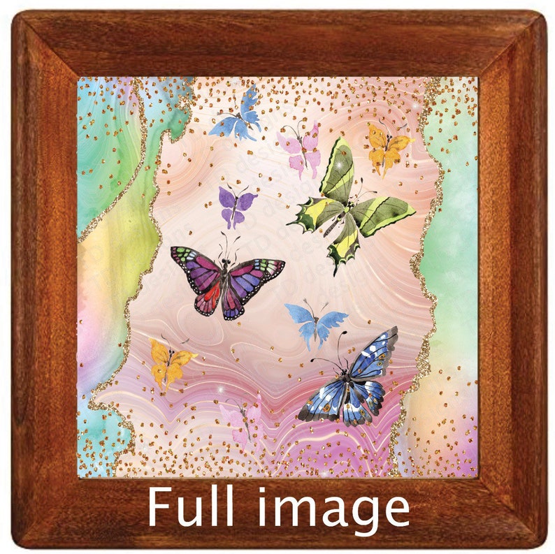 butterflies butterfly Tumbler