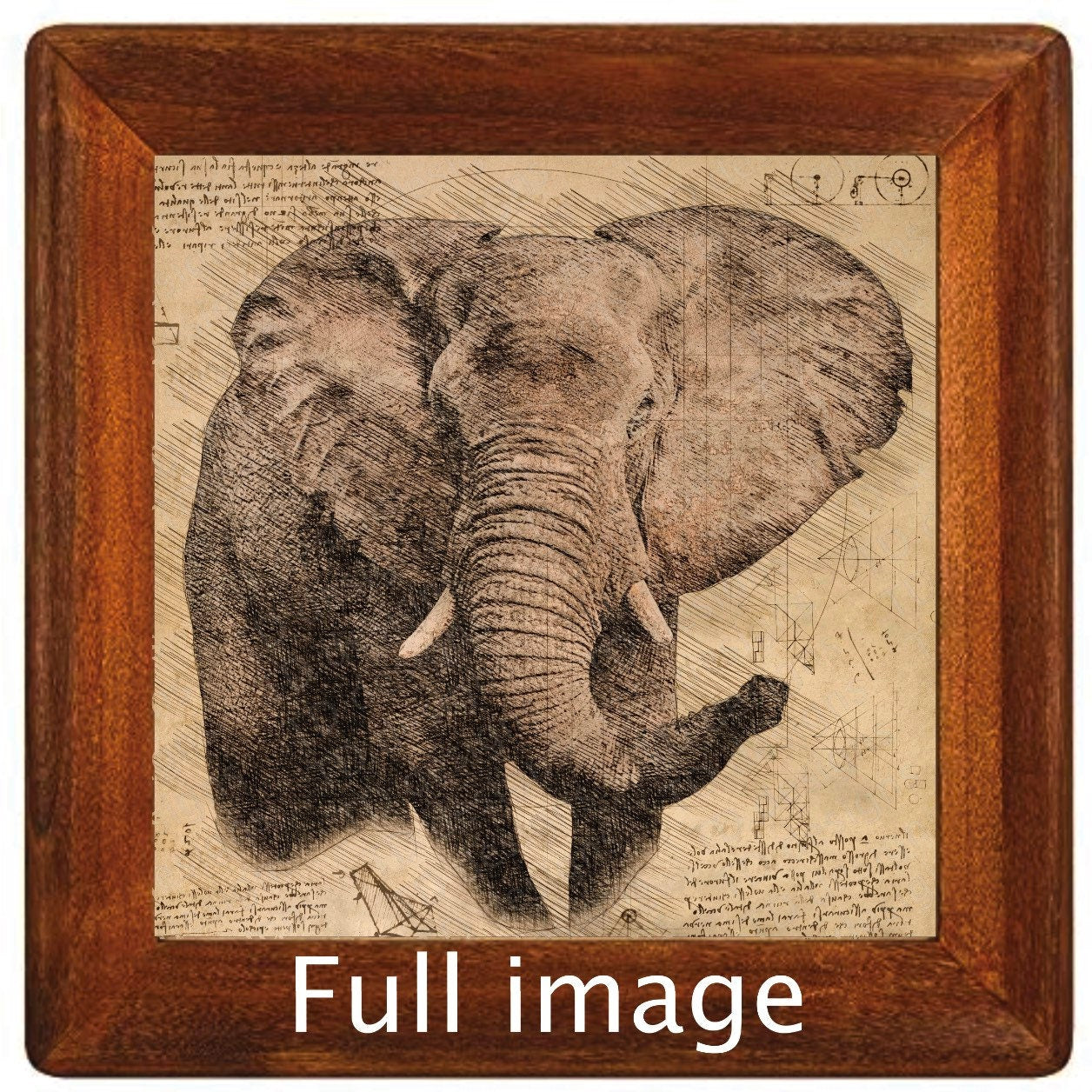 elephant distressed sketch Tumbler